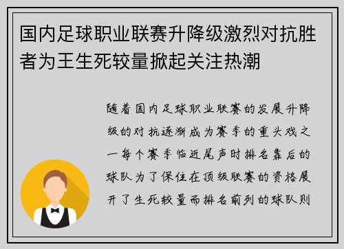 国内足球职业联赛升降级激烈对抗胜者为王生死较量掀起关注热潮