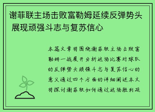 谢菲联主场击败富勒姆延续反弹势头 展现顽强斗志与复苏信心